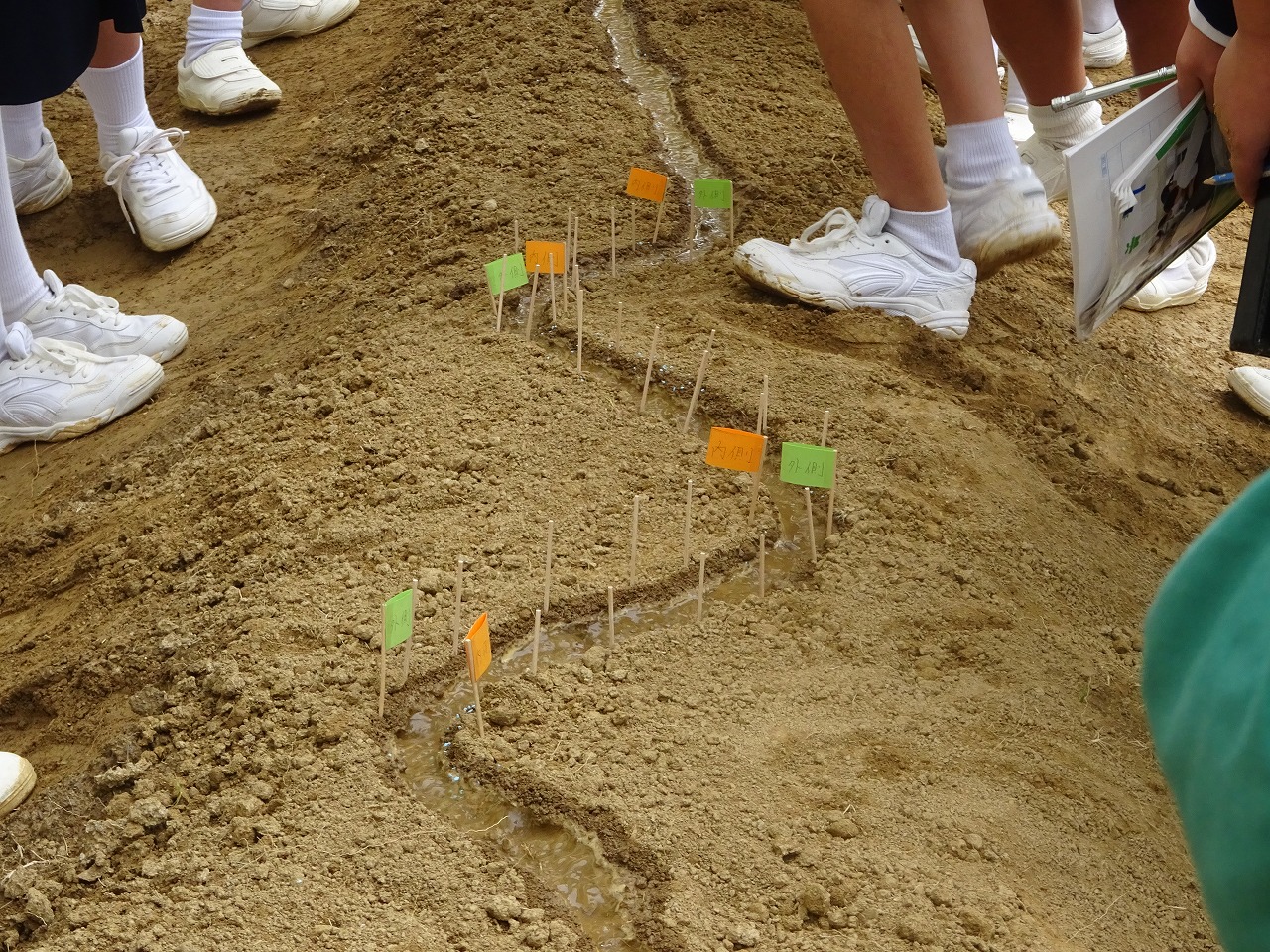 5年生 理科「流れる水の働き」 – 徳島文理小学校